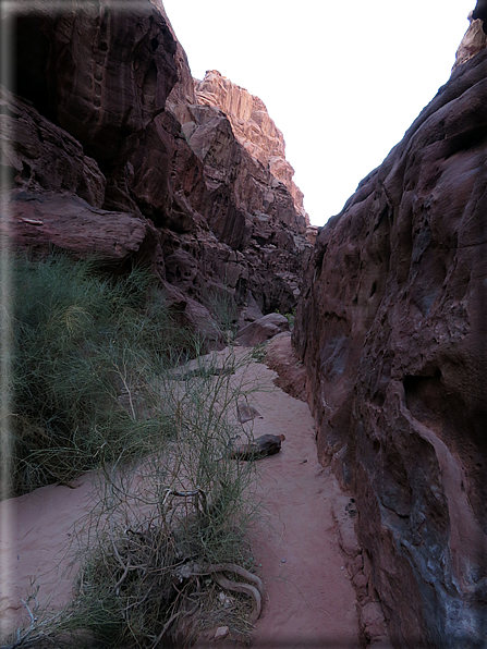 foto Wadi Rum